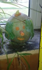 20161005_120102.jpg